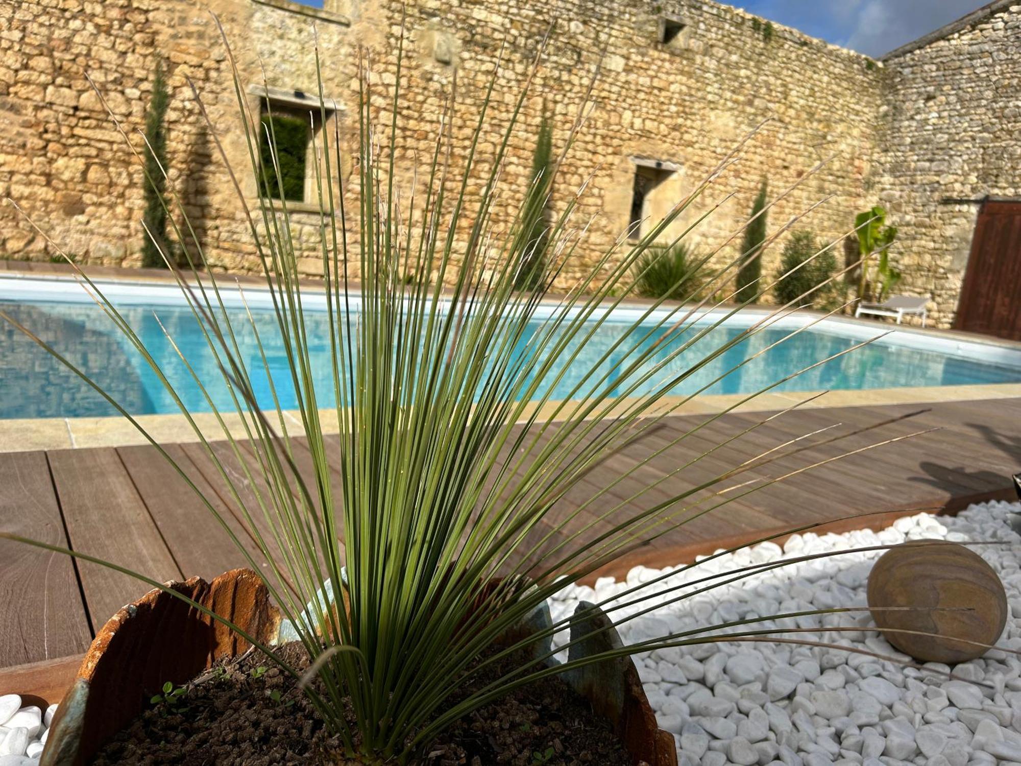 Domaine De La Gemoliere Bed & Breakfast Gémozac Eksteriør bilde