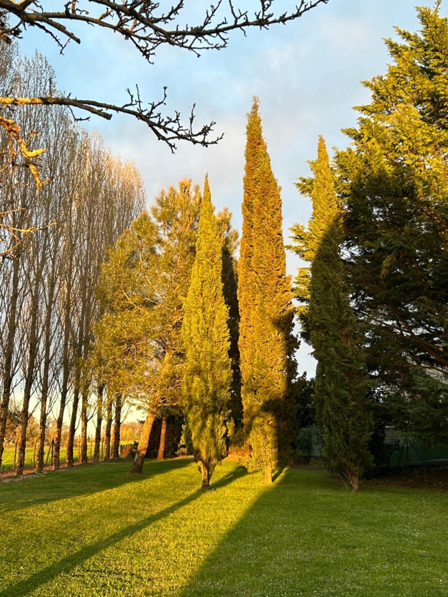 Domaine De La Gemoliere Bed & Breakfast Gémozac Eksteriør bilde